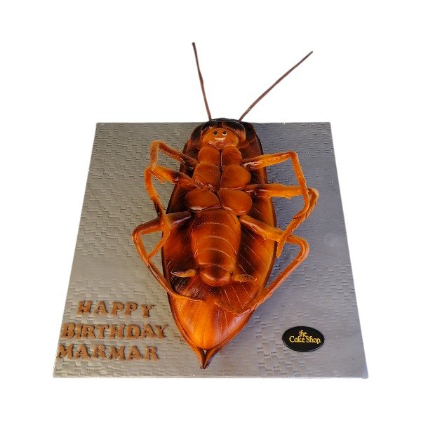 Cake in the shape of a cockroach